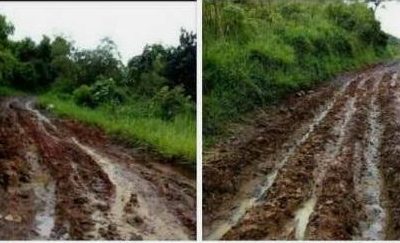 Desa Bumisari; 20 Tahun Jalan Kabupaten Tidak Ada Perbaikan