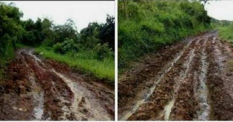 Desa Bumisari; 20 Tahun Jalan Kabupaten Tidak Ada Perbaikan