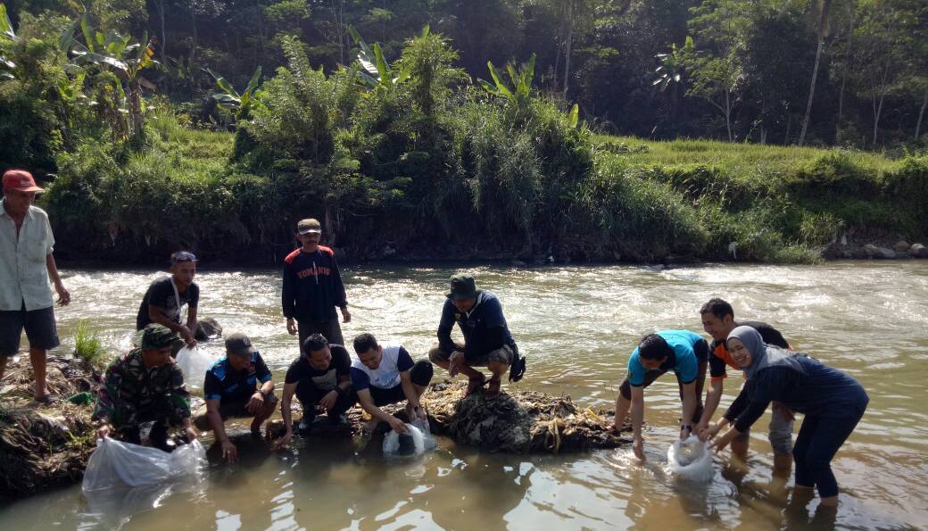 Pelaksanaan BBGRM ; Kades Sundawenang Tebar Benih Ikan dan Tanam Pohon